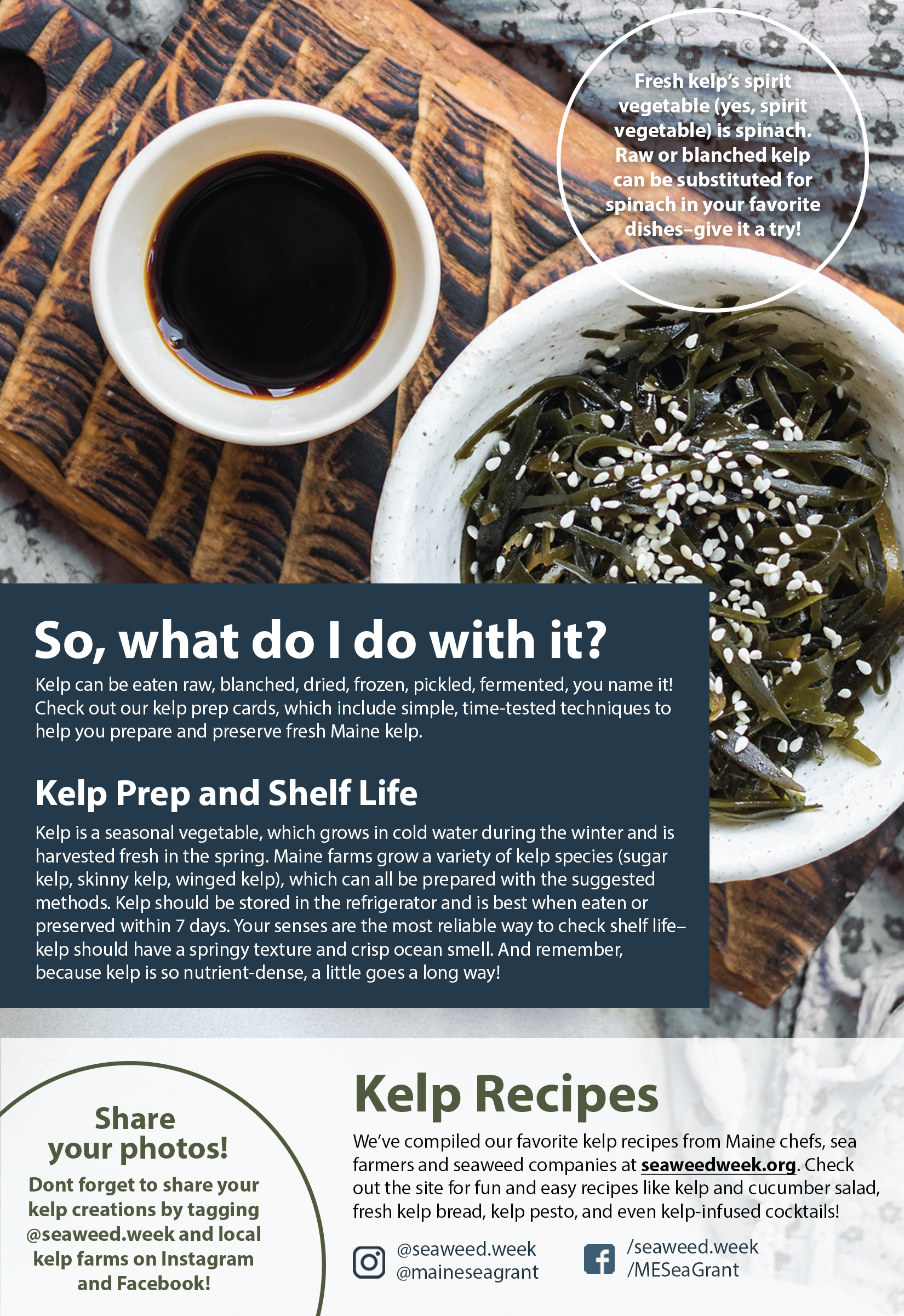 A photo of a bowl of seaweed salad and a smaller dish containing soy sauce on a wooden plant, with instructions about how to prepare and store kelp