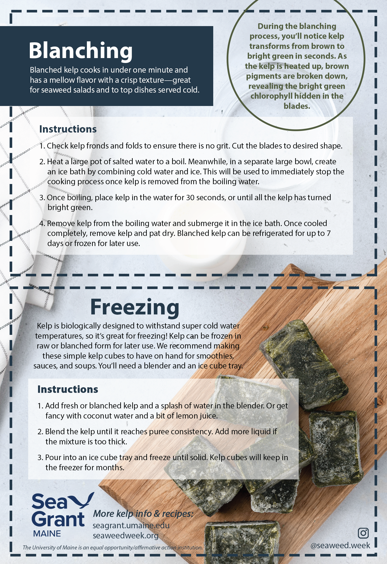 A recipe card containing instructions on how to blanch and freeze kelp, with a photo of frozen seaweed ice cubes on a wooden cutting board in the background