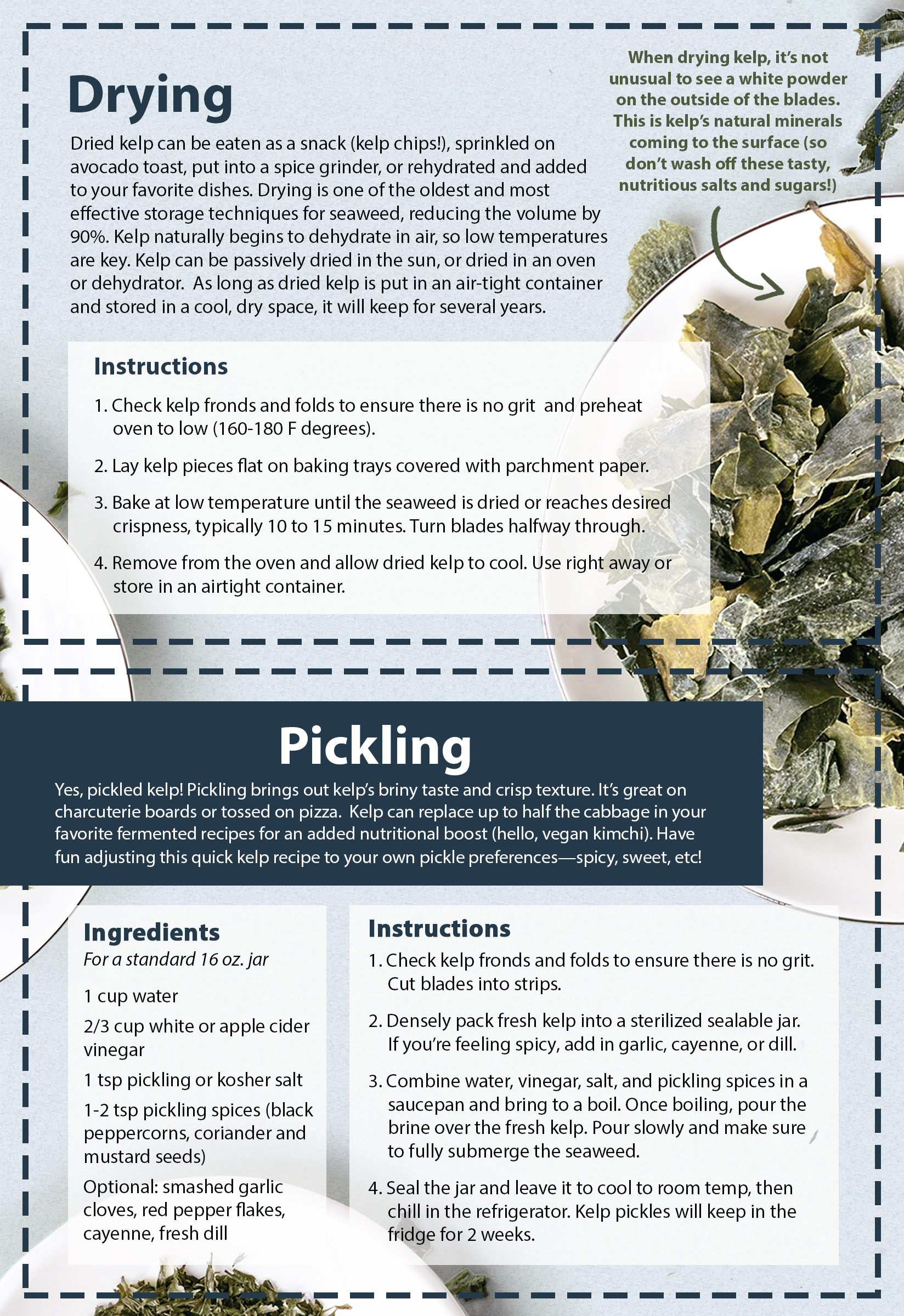 A kitchen recipe card with instructions on how to dry and pickle kelp, with a photo of dried kelp flakes in a dish in the background.